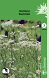 Kumina siemen Schetelig - Annossiemenet - 6415151465006 - 1