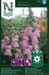 Leijonankita 'Opus Pink' F1, siemen, Nelson Garden - Kukkien siemenet - 7312600939226 - 1