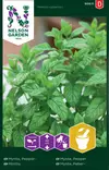 Minttu siemen, Nelson Garden - Yrttien siemenet - 7312600908116 - 1