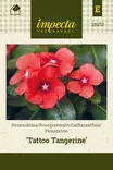 Punatalvio 'Tattoo Tangerine', siemen, Impecta - Annossiemenet - 7332756281536 - 1