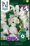 Tuoksuherne 'Royal White' siemen, Nelson Garden - Kukkien siemenet - 7312600940826 - 1