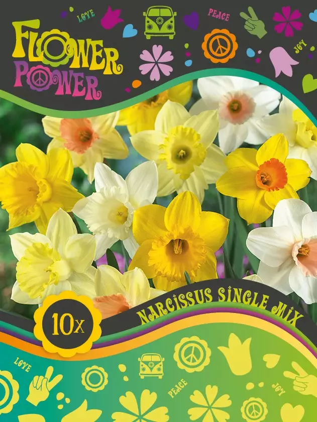 Flower Power Narsissisekoitus 10 kpl - Syyssipulit - 8711148241836 - 1