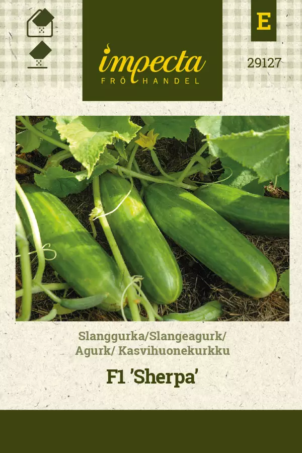 Kasvihuonekurkku 'Sherpa' F1, siemen, Impecta - Vihannesten siemenet - 7332756291276 - 1