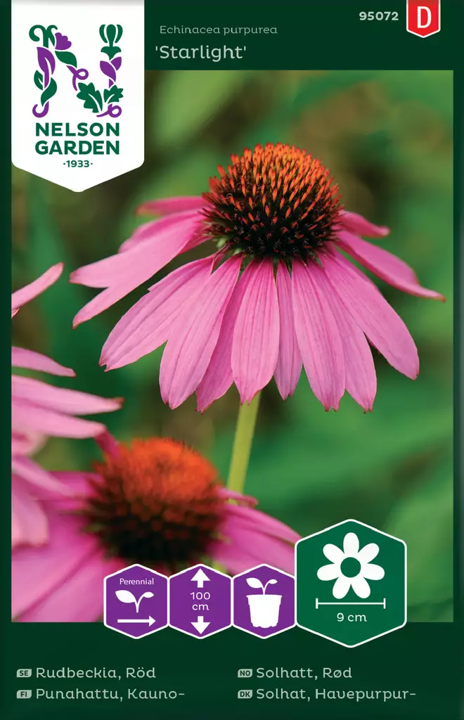 Kaunopunahattu 'Starlight' siemen, Nelson Garden - Kukkien siemenet - 7312600950726 - 1