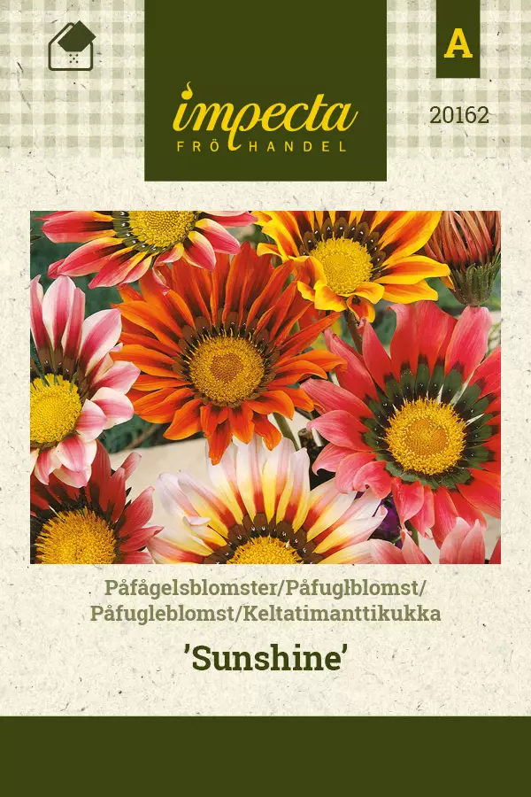 Keltatimanttikukka 'Sunshine', siemen, Impecta - Kukkien siemenet - 7332756201626 - 1