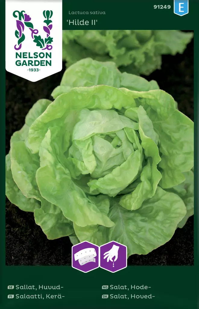 Keräsalaatti 'Hilde II', kylvönauha siemen, Nelson Garden - Vihannesten siemenet - 7312600912496 - 1