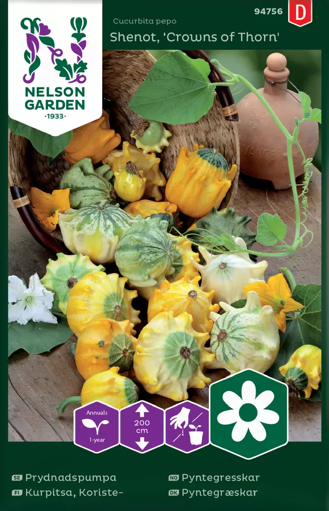 Koristekurpitsa 'Crowns of Thorn' siemen, Nelson Garden - Kukkien siemenet - 7312600947566 - 1