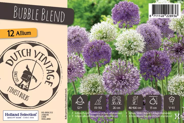 Laukkasekoitus Bubble Blend 12 kpl Dutch Vintage - Syyssipulit - 8711148228936 - 1