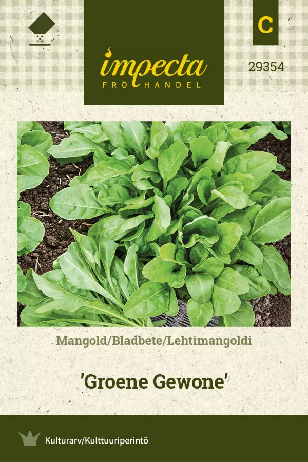 Lehtimangoldi 'Groene Gewone', siemen, Impecta - Vihannesten siemenet - 7332756293546 - 1