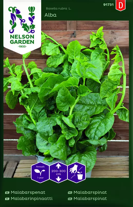 Malabarinpinaatti 'Alba' siemen, Nelson Garden - Vihannesten siemenet - 7312600917316 - 1