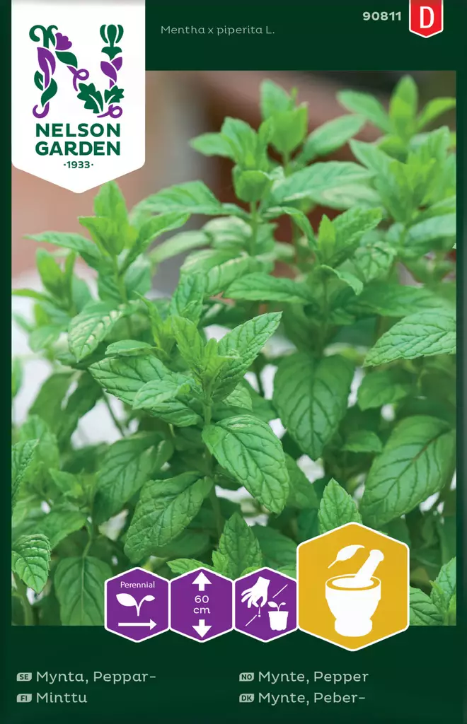 Minttu siemen, Nelson Garden - Yrttien siemenet - 7312600908116 - 1