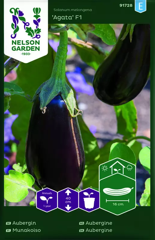 Munakoiso 'Agata' siemen, Nelson Garden - Vihannesten siemenet - 7312600917286 - 1