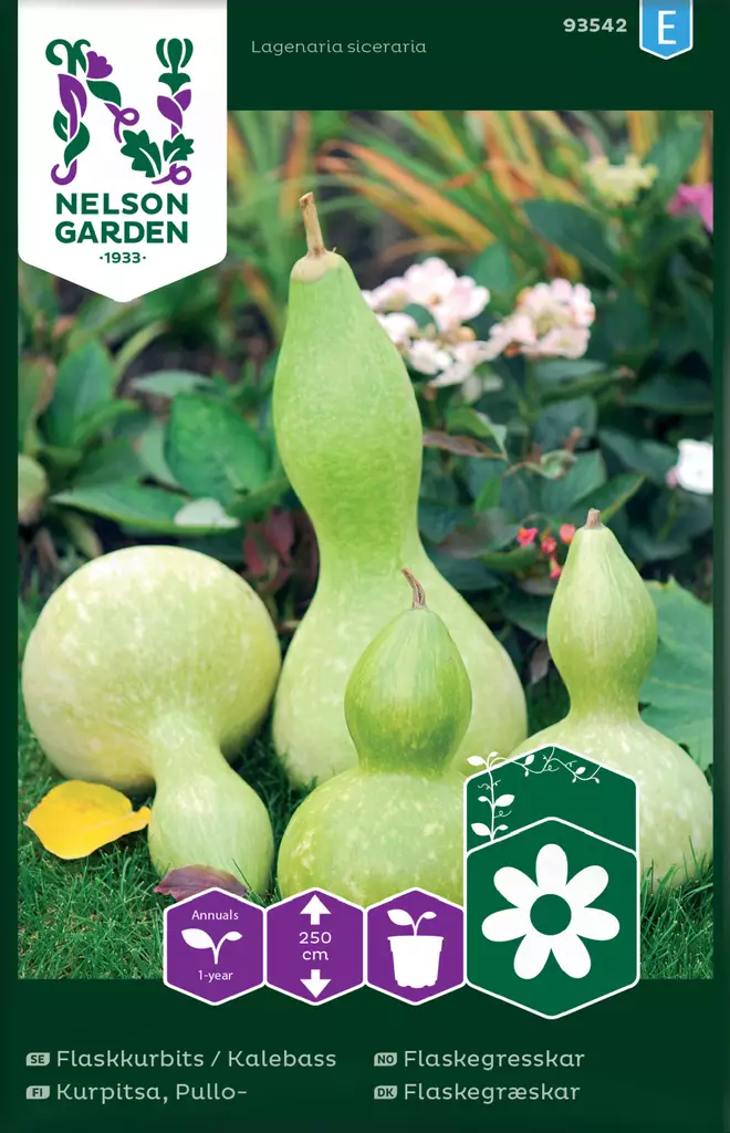 Pullokurpitsa siemen, Nelson Garden - Kukkien siemenet - 7312600935426 - 1