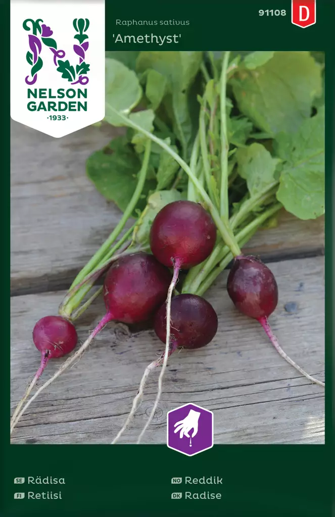 Retiisi 'Amethyst' siemen, Nelson Garden - Vihannesten siemenet - 7312600911086 - 1
