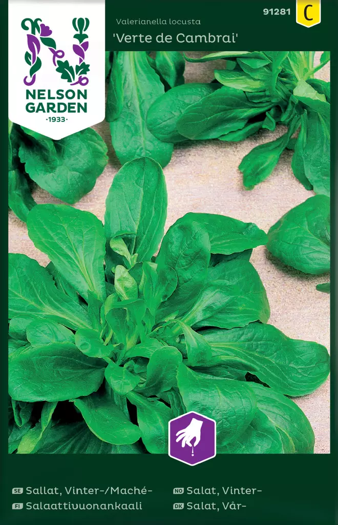 Salaattivuonankaali 'Vert de Cambrai' siemen, Nelson Garden - Vihannesten siemenet - 7312600912816 - 1
