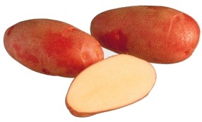 Siemenperuna Rosamunda 3 kg - Talviperunat - 6417486001386 - 1