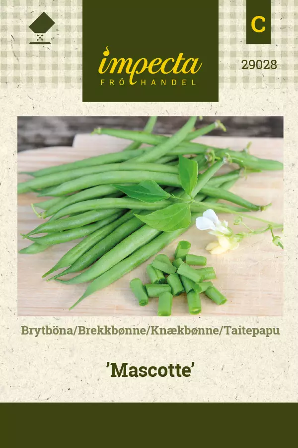 Taitepapu 'Mascotte', siemen, Impecta - Vihannesten siemenet - 7332756290286 - 1