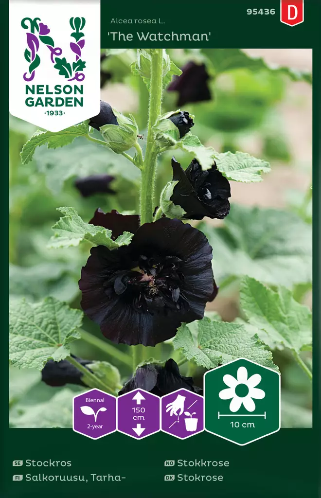 Tarhasalkoruusu 'The Watchman' siemen, Nelson Garden - Kukkien siemenet - 7312600954366 - 1