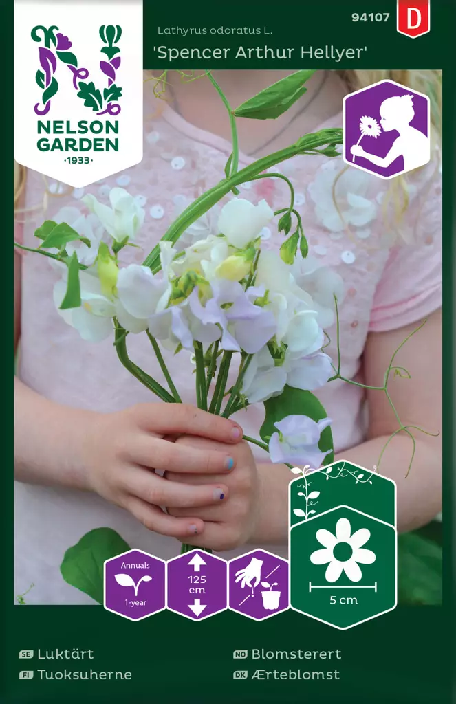 Tuoksuherne 'Spencer Arthur Hellyer' siemen, Nelson Garden - Kukkien siemenet - 7312600941076 - 1