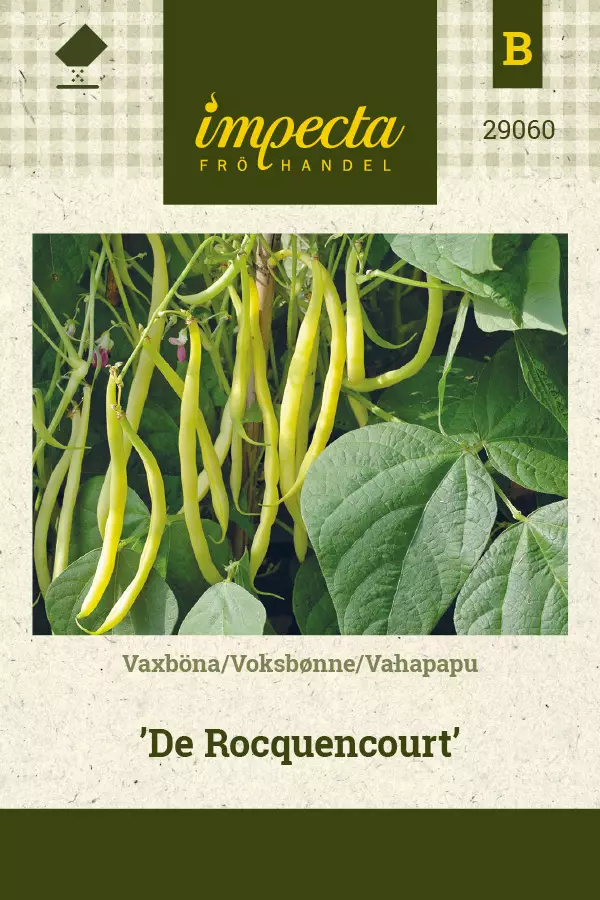 Vahapapu 'De Rocquencourt', siemen - Vihannesten siemenet - 7332756290606 - 1
