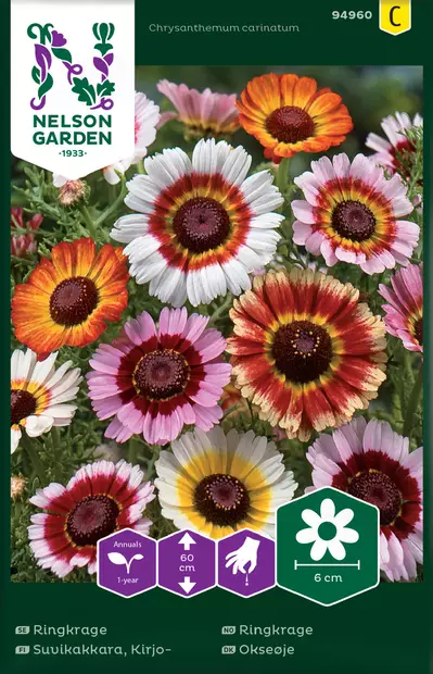 Kirjosuvikakkara siemen, Nelson Garden - Kukkien siemenet - 7312600949607 - 1