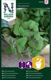 Sitruunamelissa 'Mandarina' siemen, Nelson Garden - Yrttien siemenet - 7312600902947 - 1