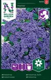 Heliotrooppi 'Marine' siemen, Nelson Garden - Kukkien siemenet - 7312600936447 - 1