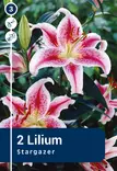 Idänlilja 'Stargazer' 2 kpl - Syyssipulit - 8711148315087 - 1