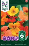 Isoköynnöskrassi, väriseos, Big Pack, siemen, Nelson Garden - Kukkien siemenet - 7312600937857 - 1