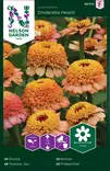 Isotsinnia 'Zinderella Peach' siemen, Nelson Garden - Kukkien siemenet - 7312600960107 - 1