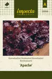 Keräsalaatti, 'Apache', siemen, Impecta - Vihannesten siemenet - 7332756295687 - 1