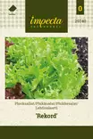 Lehtisalaatti 'Rekord', siemen, Impecta - Vihannesten siemenet - 7332756297407 - 1