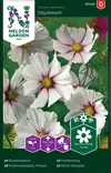 Punakosmoskukka 'Daydream' siemen, Nelson Garden - Kukkien siemenet - 7312600950207 - 1