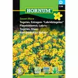 Rohtosamettikukka, Tagetes 'Sweet Mace', siemen, Hornum - Annossiemenet - 5708787011367 - 1
