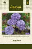 Sinivarjo 'Lace Blue', siemen, Impecta - Annossiemenet - 7332756234617 - 1