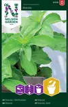 Stevia siemen, Nelson Garden - Yrttien siemenet - 7312600915107 - 1