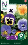 Tarhaorvokki 'Florist Strain' siemen, Nelson Garden - Kukkien siemenet - 7312600944527 - 1