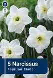 Torvinarsissi 'Papillon Blanc' 5 kpl - Kukkasipulit - 8711148252757 - 1