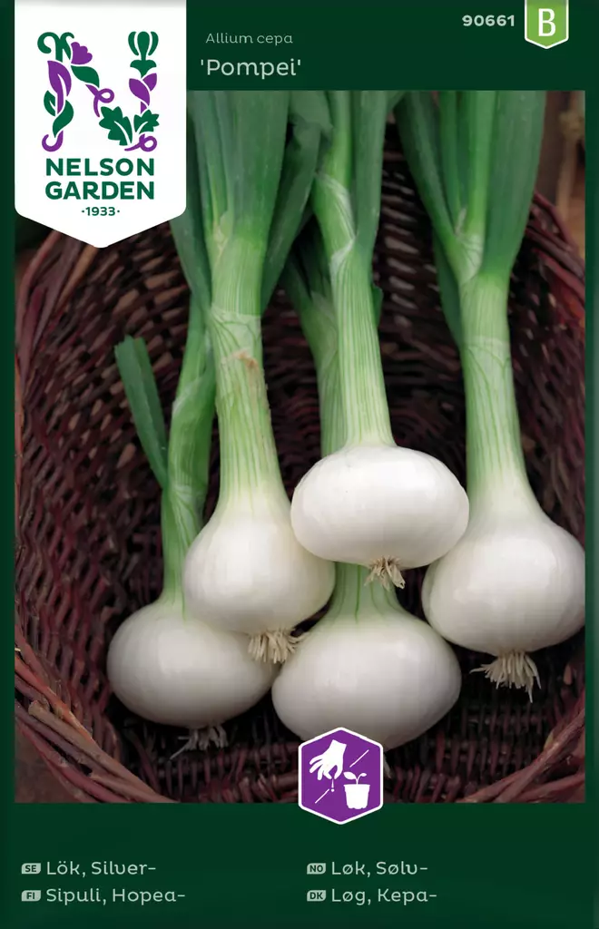 Hopeasipuli 'Pompei' siemen, Nelson Garden - Vihannesten siemenet - 7312600906617 - 1