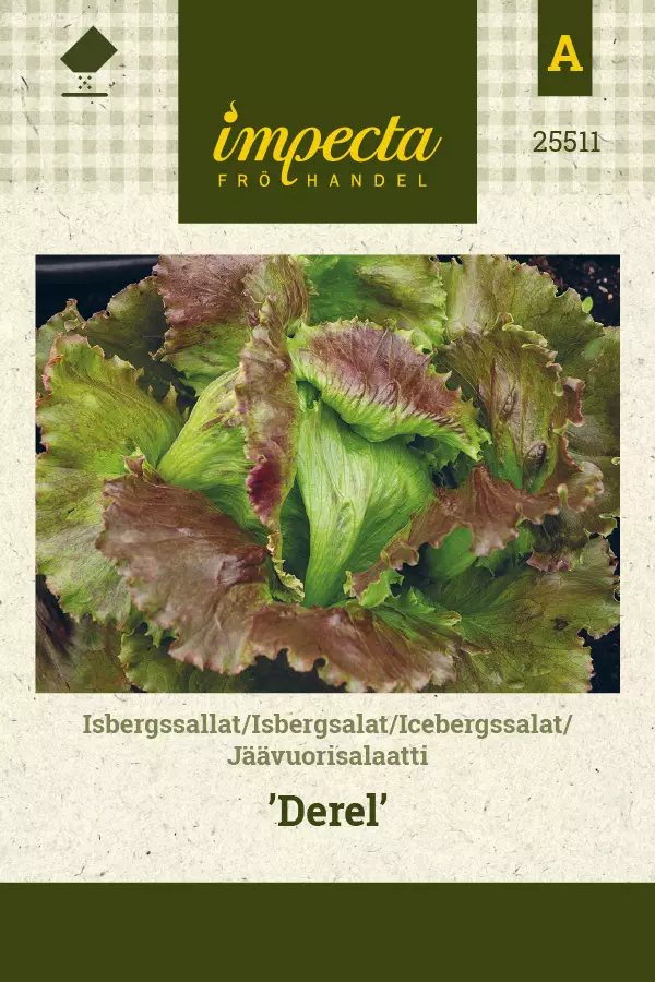 Jäävuorisalaatti 'Derel', siemen, Impecta - Annossiemenet - 7332756255117 - 1