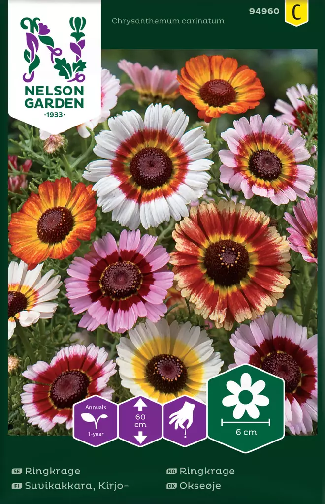 Kirjosuvikakkara siemen, Nelson Garden - Kukkien siemenet - 7312600949607 - 1