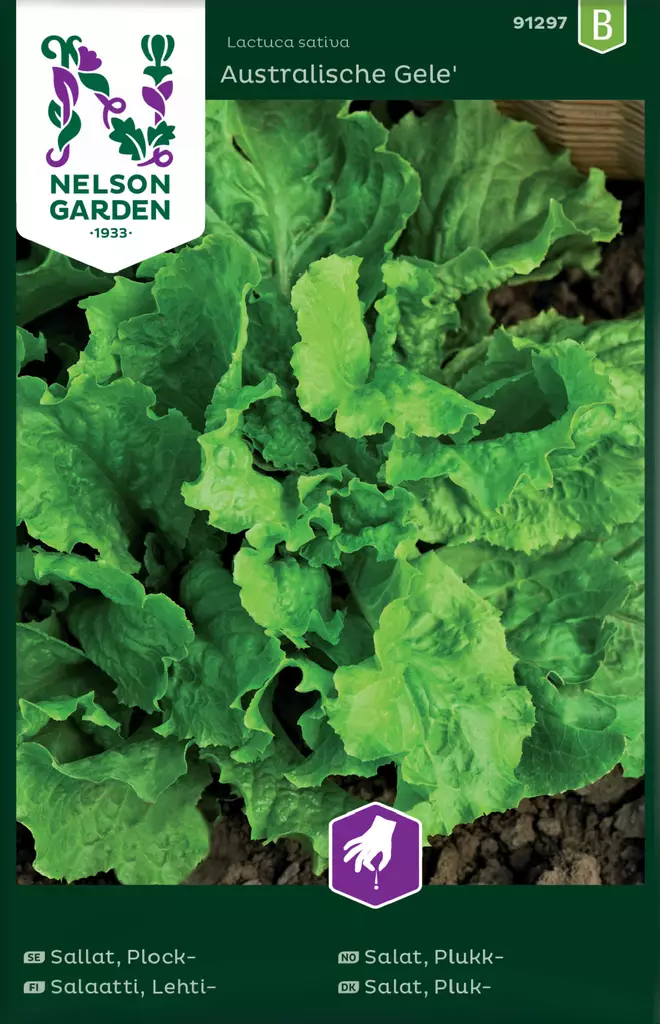 Lehtisalaatti 'Australialainen' siemen, Nelson Garden - Vihannesten siemenet - 7312600912977 - 1