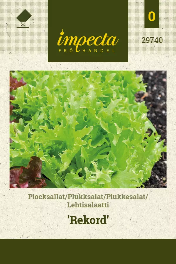 Lehtisalaatti 'Rekord', siemen, Impecta - Vihannesten siemenet - 7332756297407 - 1