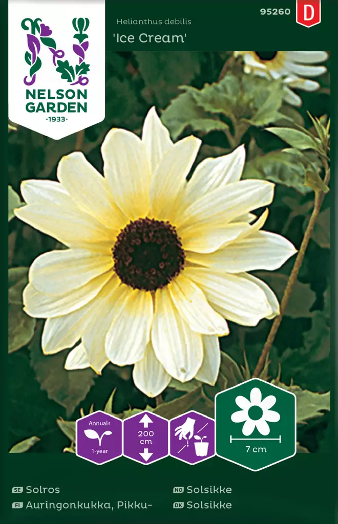 Pikkuauringonkukka 'Ice Cream' siemen, Nelson Garden - Kukkien siemenet - 7312600952607 - 1