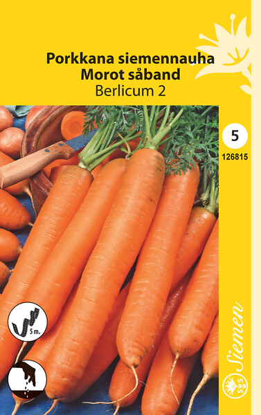 Porkkana 'Berlicum 2', siemennauha, Schetelig - Annossiemenet - 6415151268157 - 1