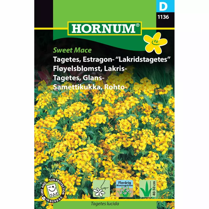 Rohtosamettikukka, Tagetes 'Sweet Mace', siemen, Hornum - Annossiemenet - 5708787011367 - 1