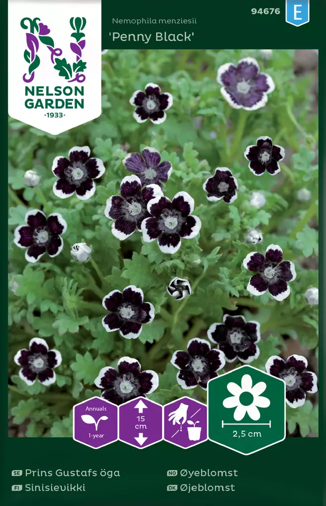 Sinisievikki 'Penny Black' siemen, Nelson Garden - Kukkien siemenet - 7312600946767 - 1
