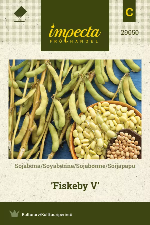 Soijapapu 'Fiskeby V', siemen, Impecta - Vihannesten siemenet - 7332756290507 - 1