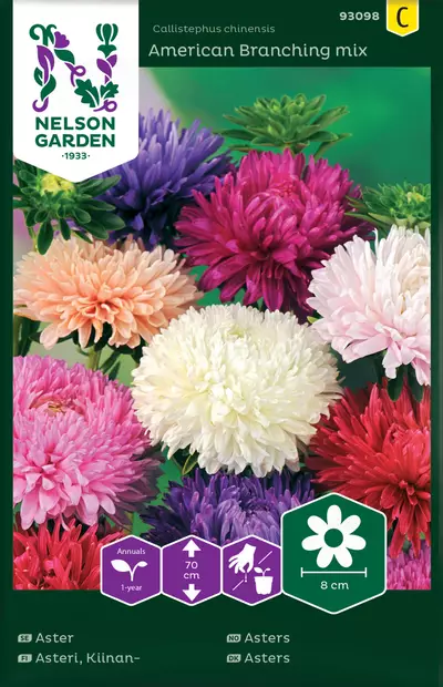 Kiinanasteri 'American Branching' siemen, Nelson Garden - Kukkien siemenet - 7312600930988 - 1