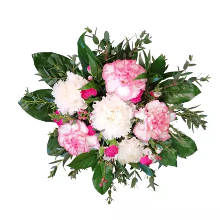 Kukkakimppu Neilikoita Ystävälle - Leikkokukat - 6416719104988 - 1